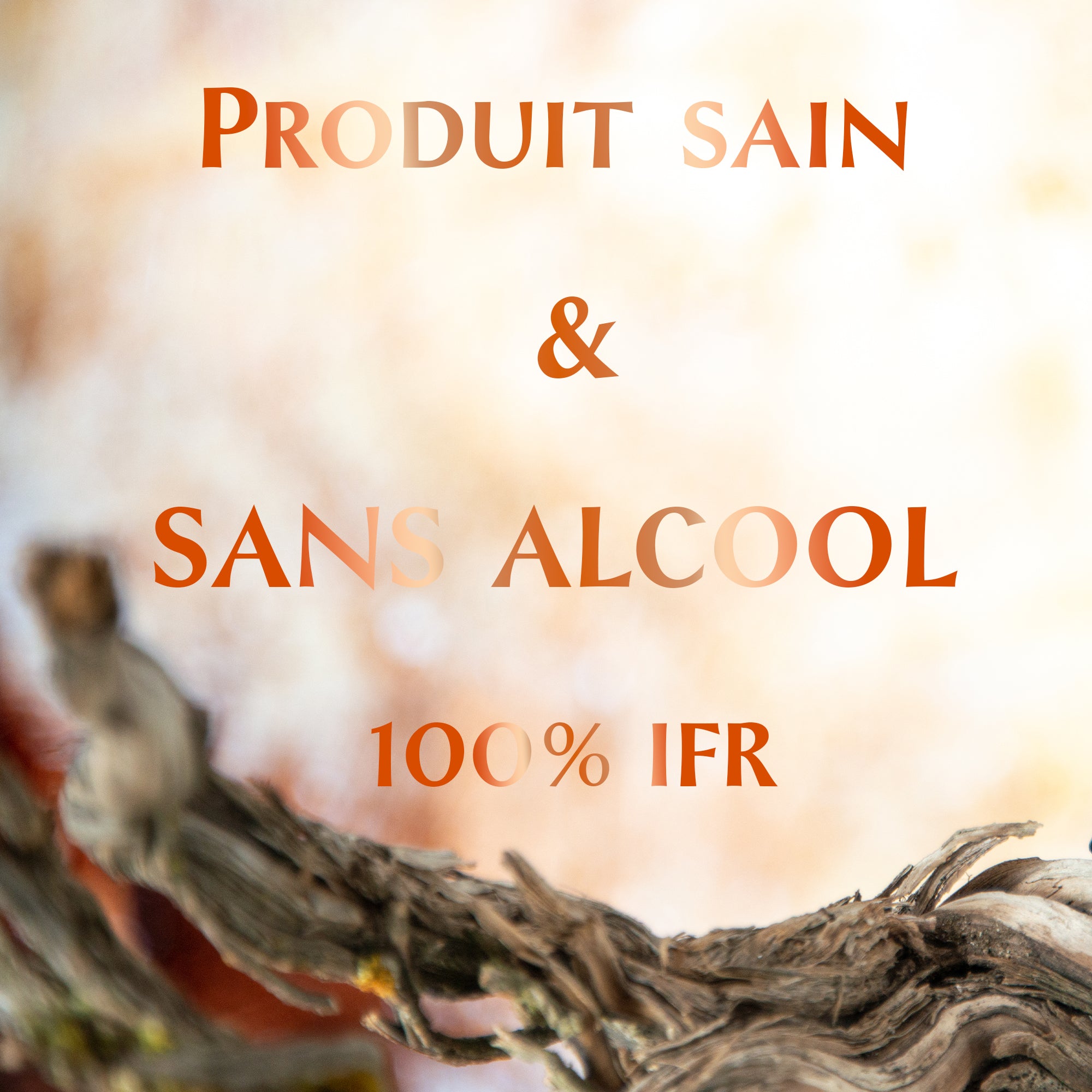 Douceur Blanche - 5ml