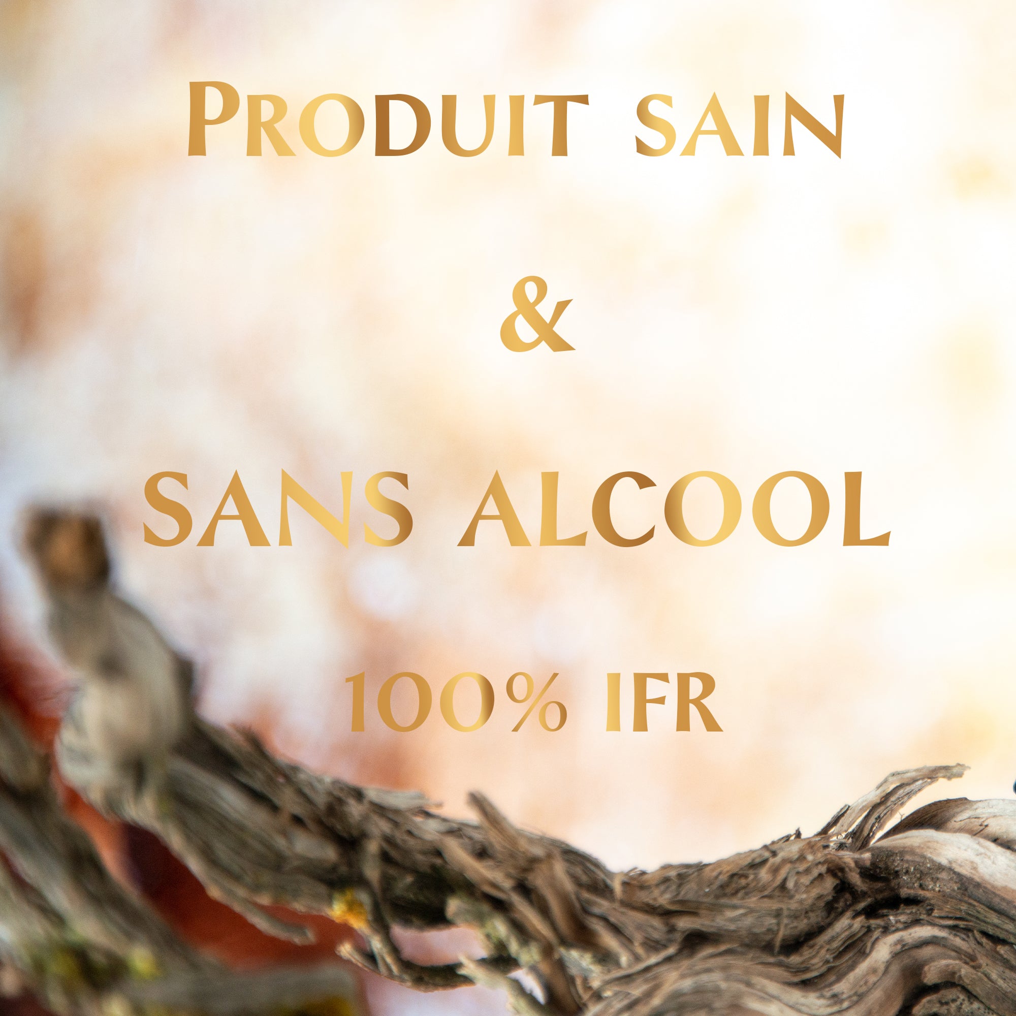 L’inévitable - 5ml