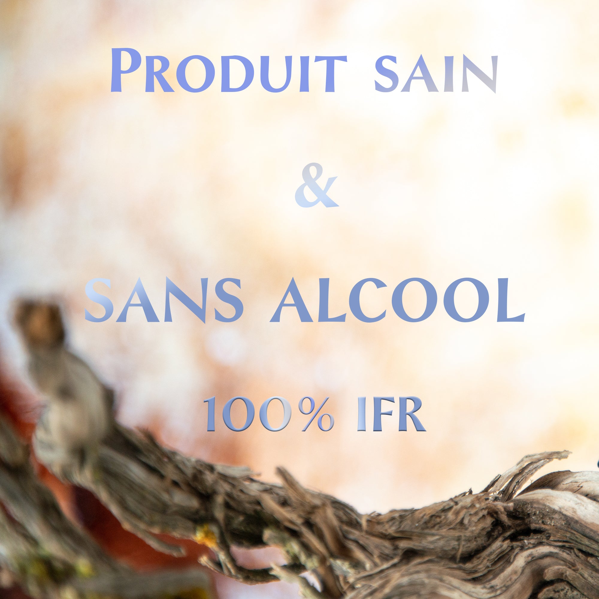 Mille et un Délices - 5ml